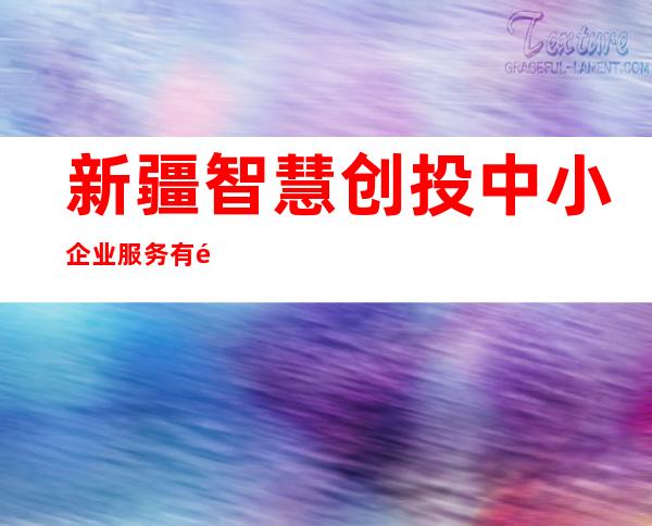 新疆智慧创投中小企业服务有限公司