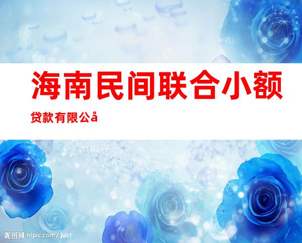 海南民间联合小额贷款有限公司